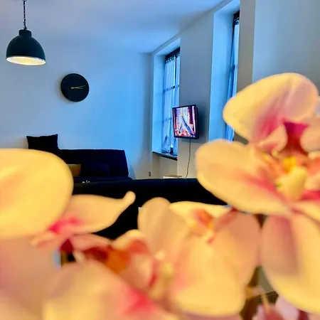 L'étoile De * Châtenois