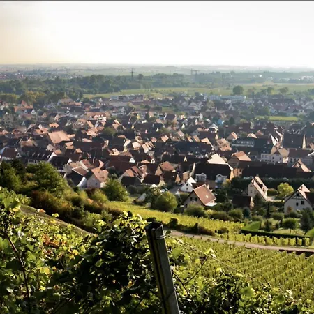 Lägenhet L'etoile De Châtenois