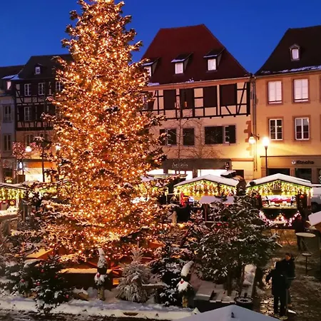 L'étoile De Appartement *